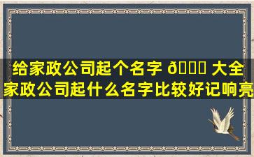 给家政公司起个名字 🐛 大全（家政公司起什么名字比较好记响亮）